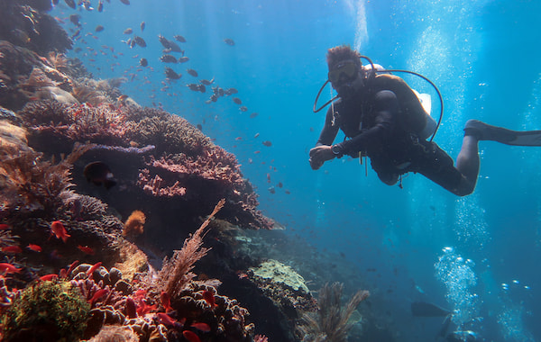 The Reef-World Foundation Impact Report 2024-2025